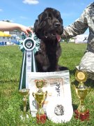 Превью фото № 248502