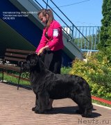 Превью фото № 248503