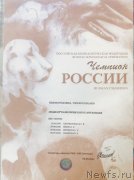 Превью фото № 248530