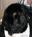 Превью фото № 24854