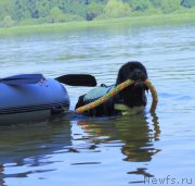 Превью фото № 248540