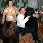 Превью фото № 24855