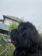 Превью фото № 248550