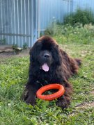 Превью фото № 248554