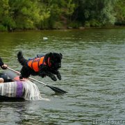 Превью фото № 248583