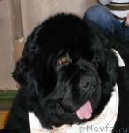 Превью фото № 24864