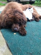 Превью фото № 248666