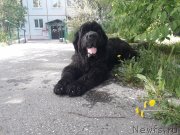 Превью фото № 248669