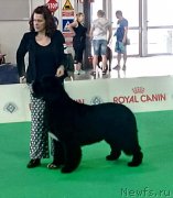 Превью фото № 248674