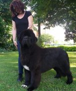 Превью фото № 248675