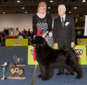 Превью фото № 248693