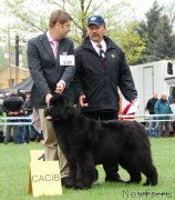 Превью фото № 248695