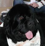 Превью фото № 24870