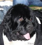 Превью фото № 24873