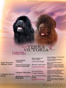 Превью фото № 248733