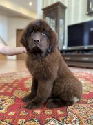 Превью фото № 248736