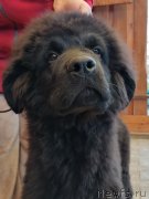 Превью фото № 248789