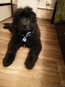 Превью фото № 248793