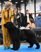 Превью фото № 248808