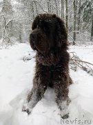 Превью фото № 248816