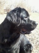 Превью фото № 248822