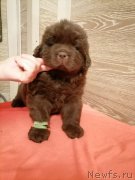 Превью фото № 248830