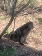 Превью фото № 248853