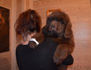 Превью фото № 248864