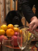 Превью фото № 248874