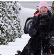 Превью фото № 248881