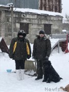 Превью фото № 248882