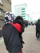 Превью фото № 248883