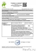 Превью фото № 248886