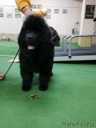 Превью фото № 248899