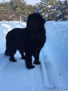 Превью фото № 248904