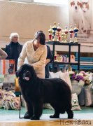 Превью фото № 248944