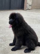 Превью фото № 248947