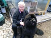 Превью фото № 248974