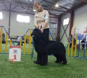 Превью фото № 248976