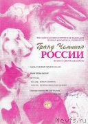 Превью фото № 248991