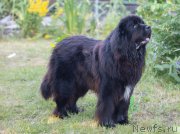 Превью фото № 249001