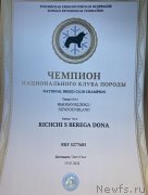 Превью фото № 249009