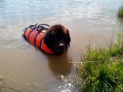 Превью фото № 249011