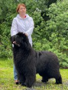 Превью фото № 249033