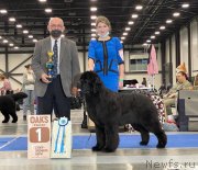 Превью фото № 249034