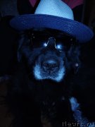 Превью фото № 249048