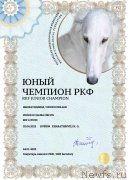 Превью фото № 249055