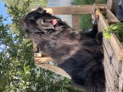 Превью фото № 249073