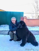 Превью фото № 249074