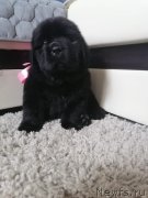 Превью фото № 249085